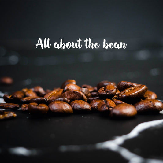 Coffee Dictionary, Part 1: Bean there, done that.